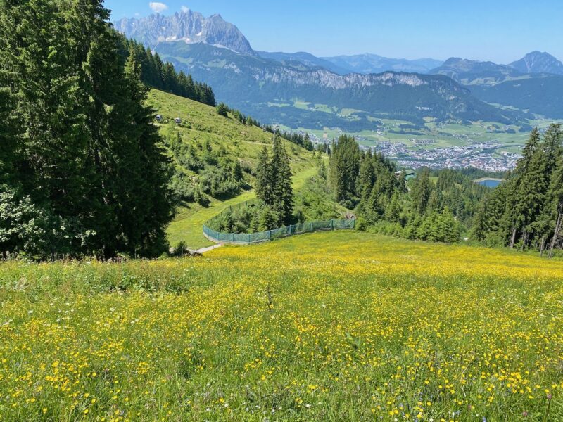Summer in St Johann. Image © PlanetSKI